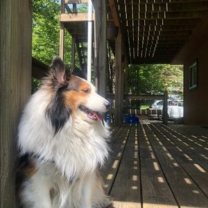 Meet your Posher, Effie